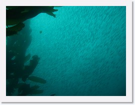 IMG_3850 * 3264 x 2448 * (1.4MB)