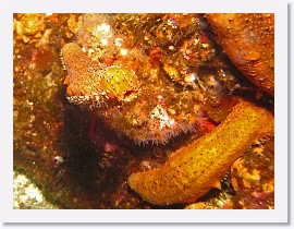 IMG_4339-crop * 2004 x 1503 * (556KB)