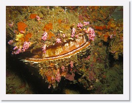 IMG_7759-crop * 3044 x 2283 * (1.59MB)