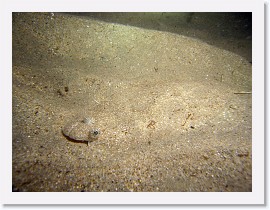 IMG_9564-crop * 3264 x 2448 * (2.64MB)