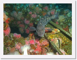 IMG_0143-crop * 2828 x 2121 * (2.28MB)