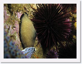 IMG_2918-crop * 2910 x 2183 * (902KB)