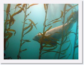 IMG_3026-crop * 3092 x 2319 * (1.31MB)