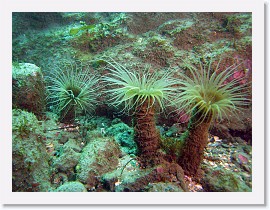 IMG_3289-crop * 2812 x 2109 * (1.45MB)