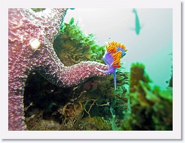 IMG_3419-crop * 2847 x 2135 * (829KB)