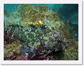 IMG_3490-crop * 3068 x 2301 * (1.25MB)