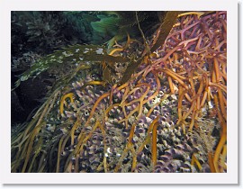 IMG_4365-crop * 3264 x 2448 * (2.03MB)