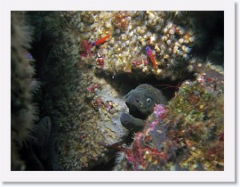 IMG_4836-crop * 2413 x 1810 * (958KB)