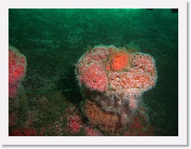 IMG_5089-crop * 3264 x 2448 * (2.22MB)