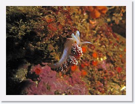 IMG_5478-crop * 2931 x 2198 * (1.37MB)