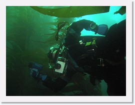 IMG_5609-crop * 3264 x 2448 * (1.35MB)