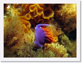 IMG_5842-crop * 2919 x 2189 * (1.14MB)