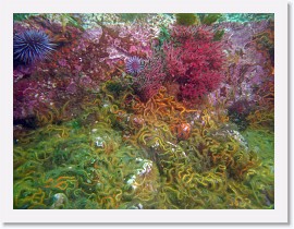 IMG_6537-crop * 3264 x 2448 * (1.57MB)