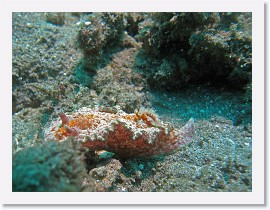 IMG_7900-crop * 2436 x 1827 * (1.54MB)